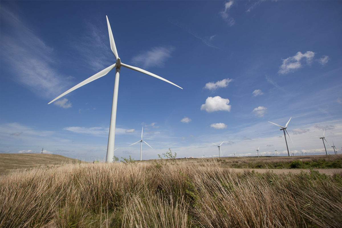 In Partnership with ScottishPower, help inspire more businesses to make sustainable changes